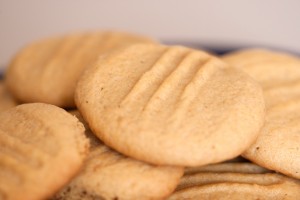 Biscuit2