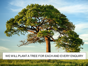 Plant a tree offer