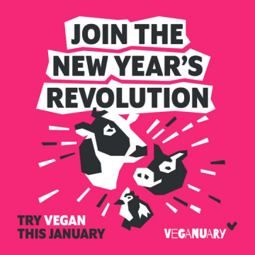 Veganuary 2021 | Sustainable Conference Venues | Cavendish Conference Venues | London
